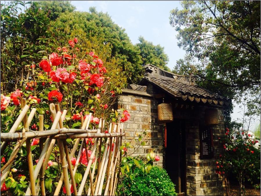 Zhouzhuang Moonlit River In Spring Guzheng Club House Suzhou  Exterior photo